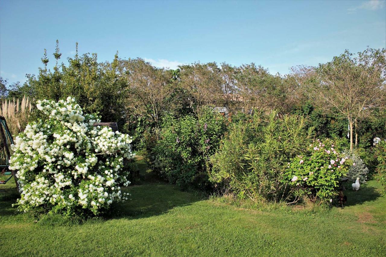 Gites Le Pimayon Manosque Exterior photo